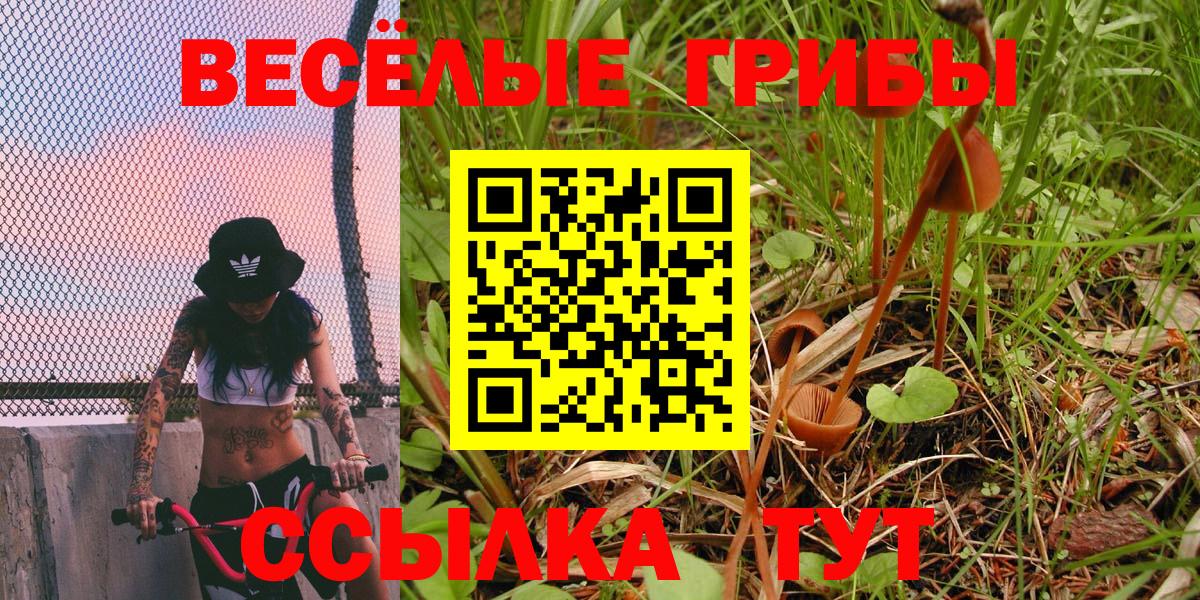 магазин  наркотиков  Галлюциногенные грибы Magic Shrooms  Вход с VPN  Псилоцибиновые грибы Cubensis  Грозный 