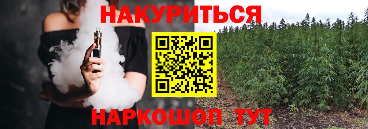 Бошки марихуана план  Вход с VPN  Канабис Amnesia  Грозный  Конопля конопля 